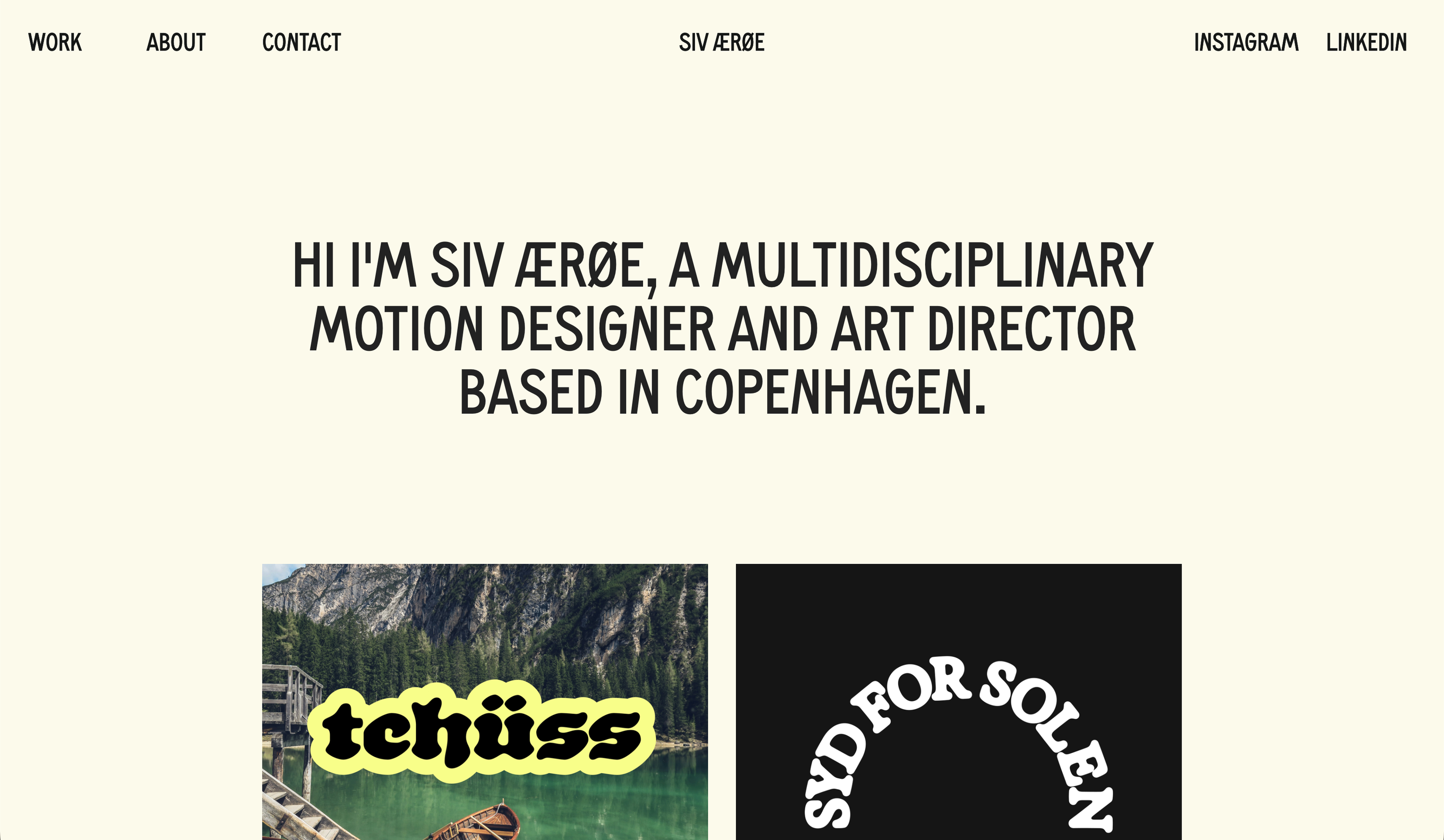 Siv Ærøe Agerholm portfolio preview